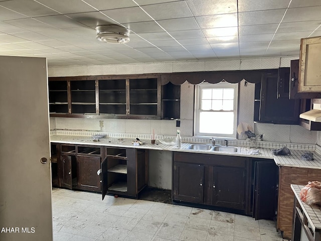 kitchen featuring sink, decorative backsplash, and dark brown cabinets