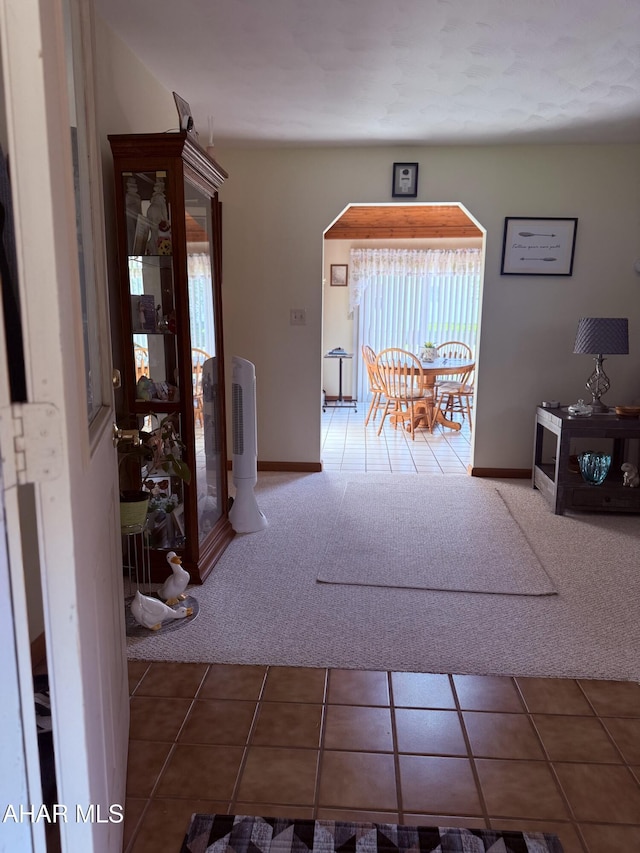 524 Elm Ln, Duncansville, PA 16635 - corridor with carpet, healthy amount of natural light, tile patterned floors, and baseboards