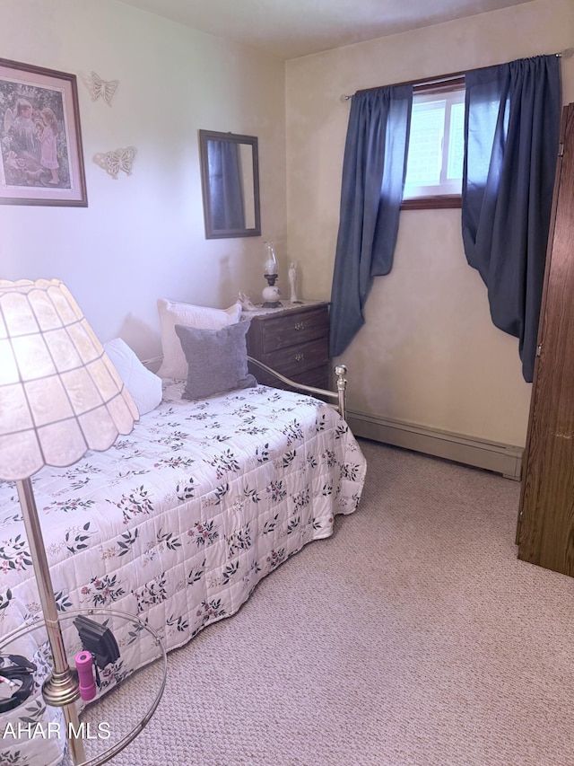 524 Elm Ln, Duncansville, PA 16635 - bedroom with carpet floors and baseboard heating