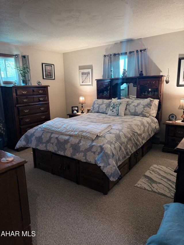 524 Elm Ln, Duncansville, PA 16635 - carpeted bedroom with multiple windows