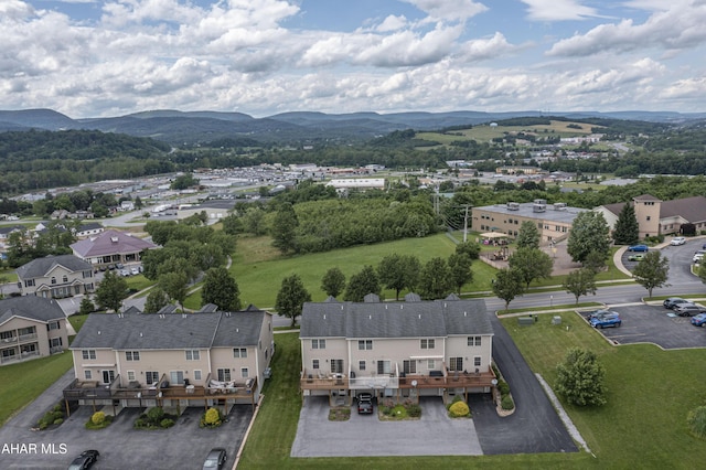 113 Holliday Hills Dr, Hollidaysburg, PA 16648 - photo 37