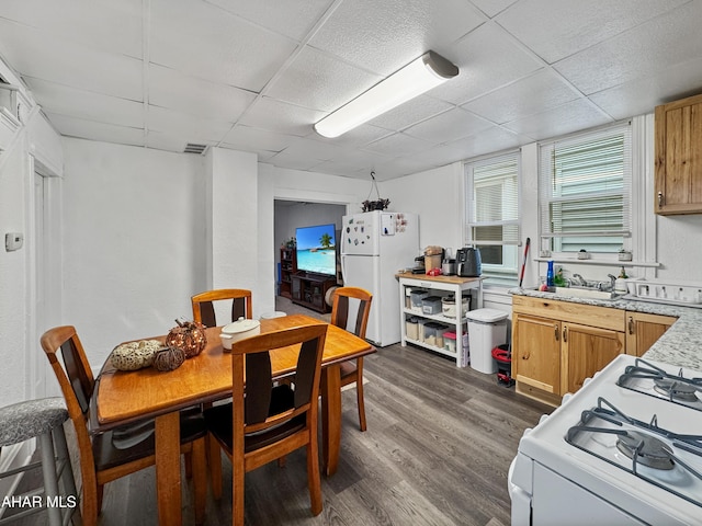 dining space with a drop ceiling, sink, and dark wood-type flooring