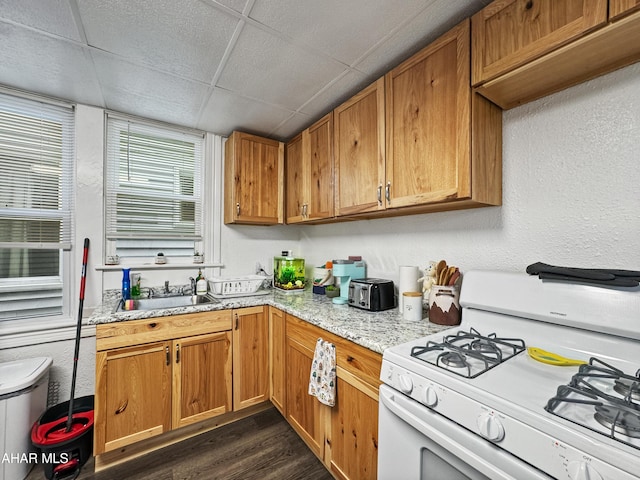 kitchen with a paneled ceiling, sink, light stone countertops, white gas range, and dark hardwood / wood-style flooring