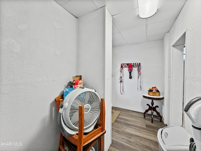 details with wood-type flooring and a paneled ceiling