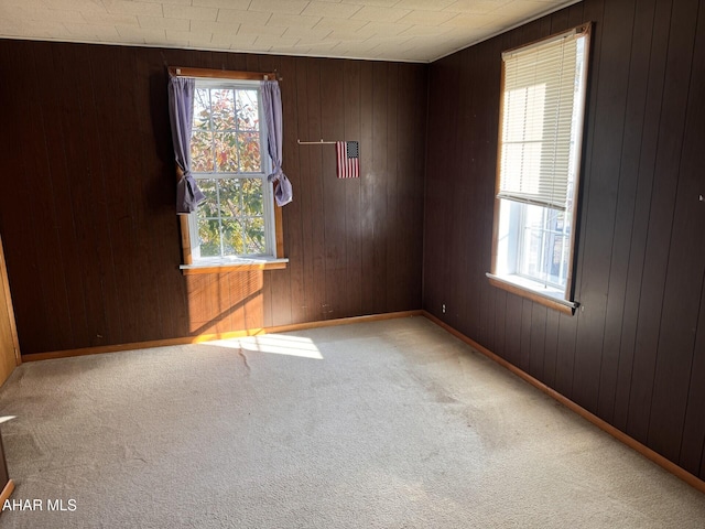 carpeted spare room with wood walls