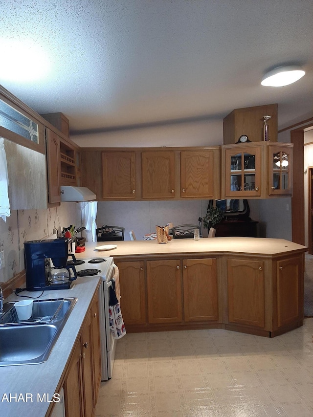 kitchen with a textured ceiling, electric range, and sink