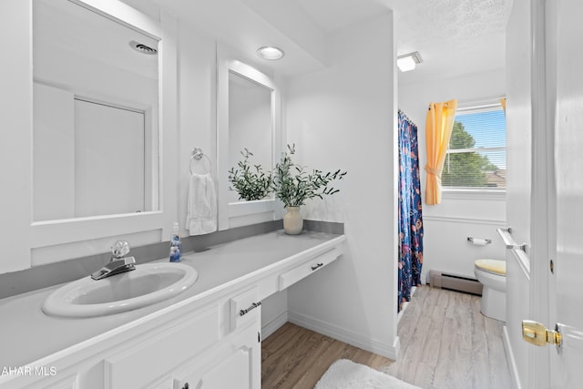 409 Tree Ln, Duncansville, PA 16635 - bathroom with baseboard heating, wood finished floors, toilet, vanity, and curtained shower