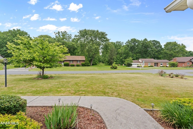 409 Tree Ln, Duncansville, PA 16635 - view of green lawn