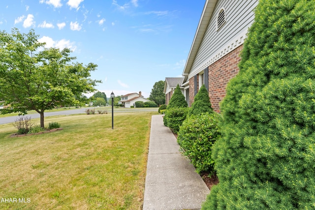 409 Tree Ln, Duncansville, PA 16635 - view of green lawn