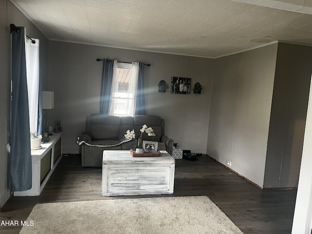 401 Park Ave, Clearfield, PA 16830 - living area featuring crown molding and dark wood-type flooring