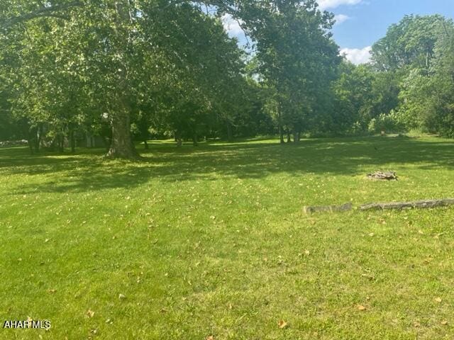 125 Broad St, Hollidaysburg, PA 16648 - view of grassy yard