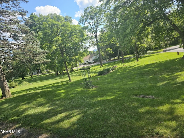 1194 Spang St, Roaring Spring, PA 16673 - photo 11