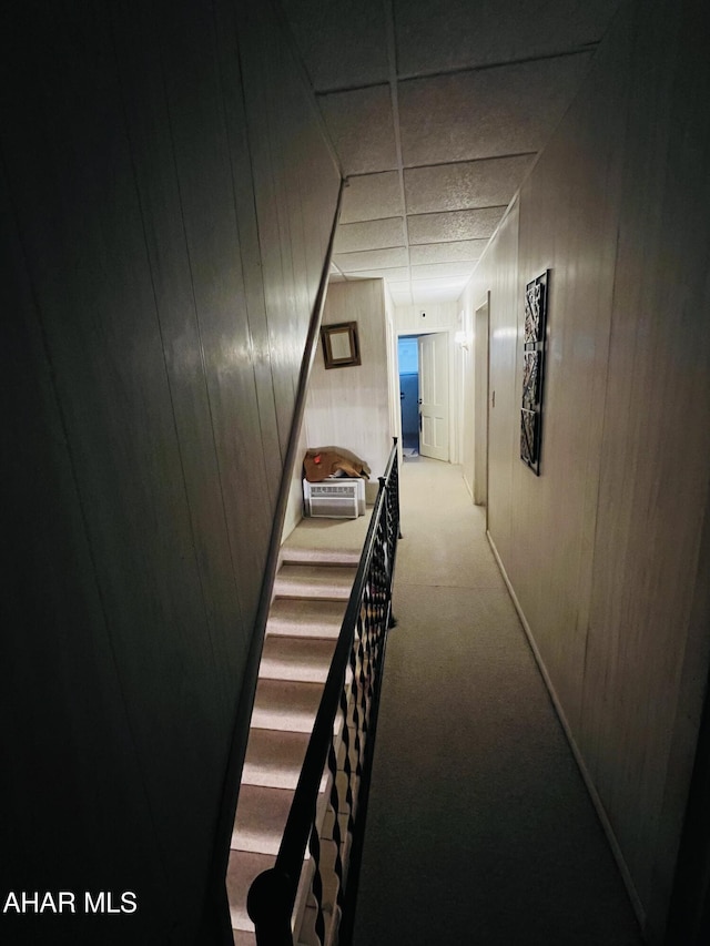 corridor with light carpet, a drop ceiling, and wood walls