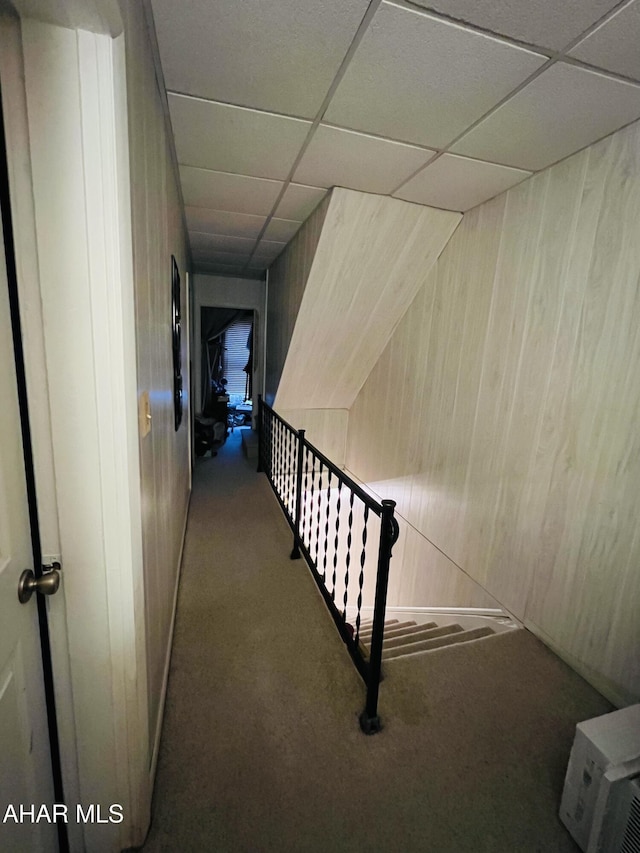 stairway featuring carpet flooring, a paneled ceiling, and wooden walls