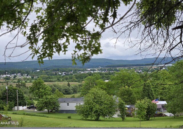 563 Lock Mountain Rd, Martinsburg, PA 16662 - photo 21