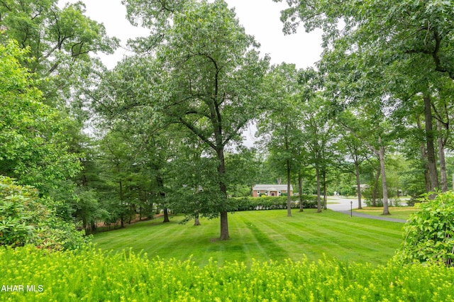 1605 S Logan Blvd, Hollidaysburg, PA 16648 - photo 9