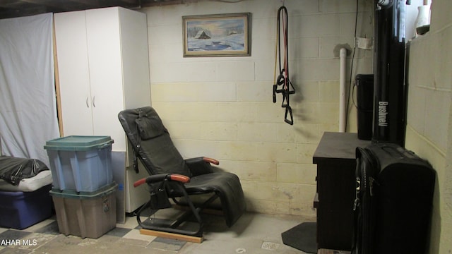 unfinished basement with concrete block wall