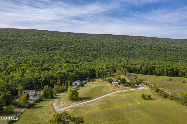 3085 Scotch Valley Rd, Hollidaysburg, PA 16648 - photo 10