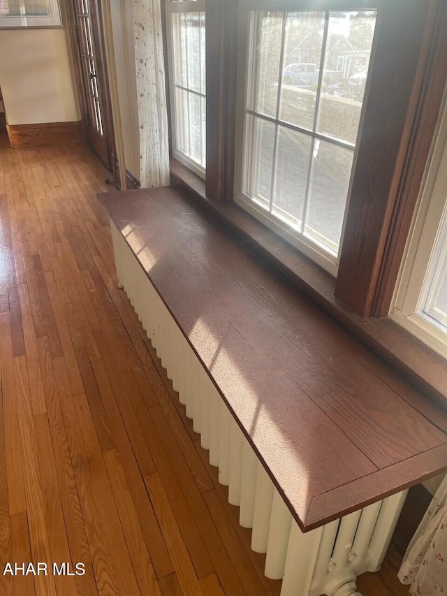 interior space featuring hardwood / wood-style floors