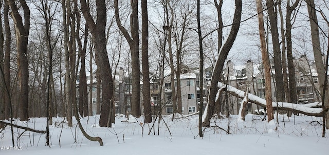 view of snowy view