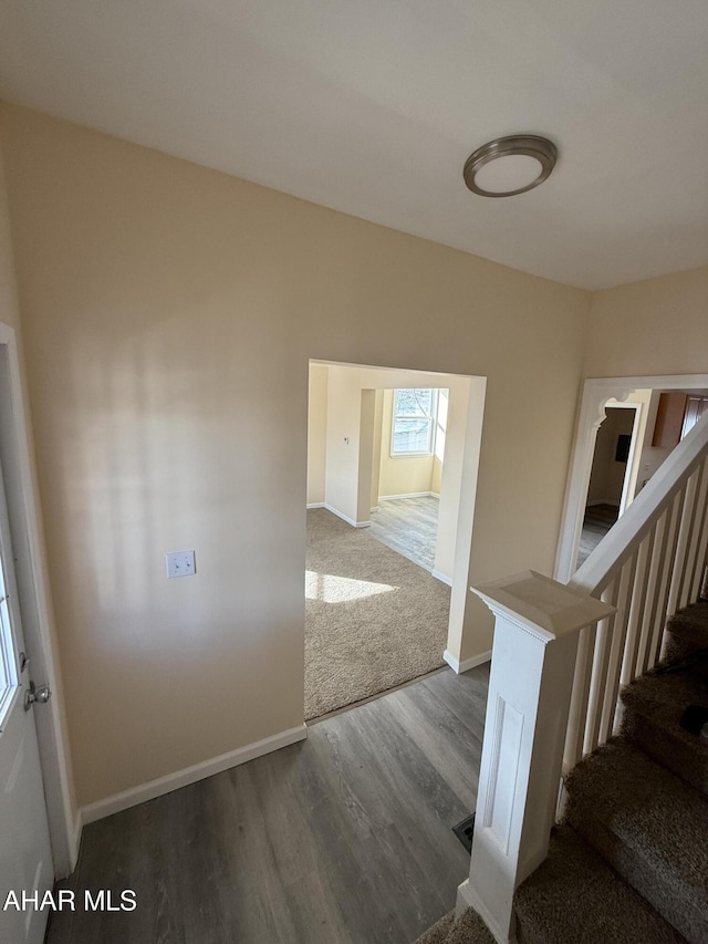 staircase featuring hardwood / wood-style flooring