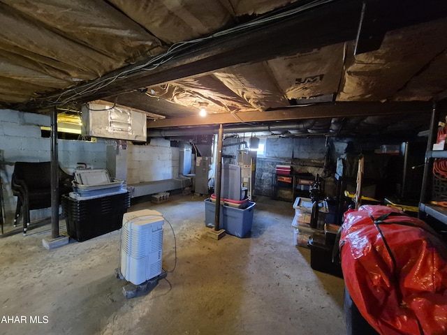 605 13th St, Duncansville, PA 16635 - unfinished below grade area with gas water heater