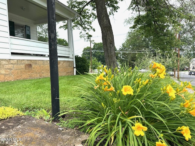 132 S Thomas St, Bedford, PA 15522 - view of grassy yard