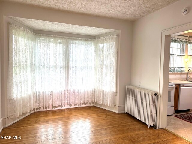 132 S Thomas St, Bedford, PA 15522 - spare room featuring radiator heating unit, light wood-style flooring, a textured ceiling, and a smoke detector