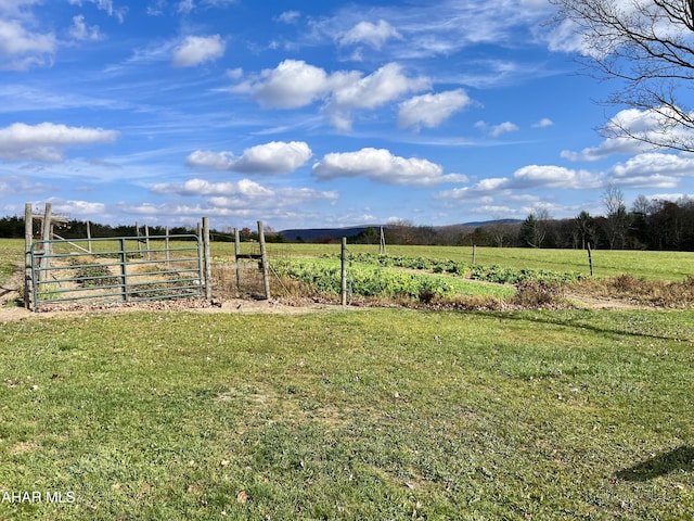 view of yard with a rural view