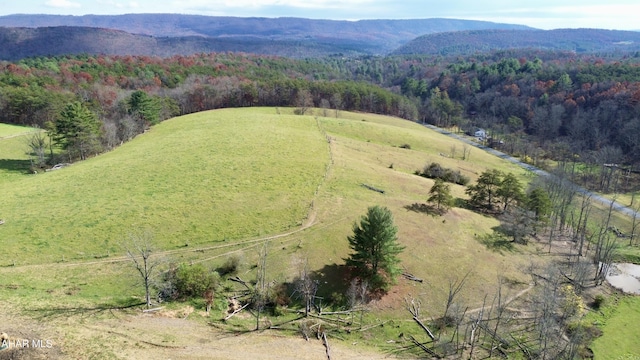 drone / aerial view featuring a mountain view and a rural view