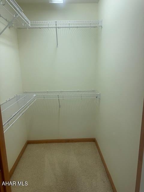 116 Estate Dr, Duncansville, PA 16635 - spacious closet with light carpet