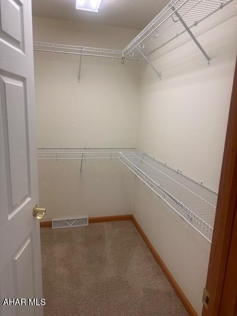 116 Estate Dr, Duncansville, PA 16635 - spacious closet with carpet flooring