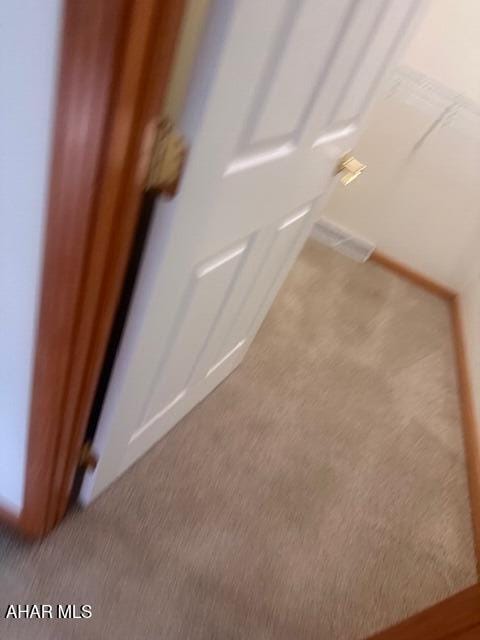 116 Estate Dr, Duncansville, PA 16635 - detailed view of carpet