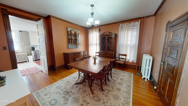 dining area with radiator heating unit, light wood-type flooring, and ornamental molding