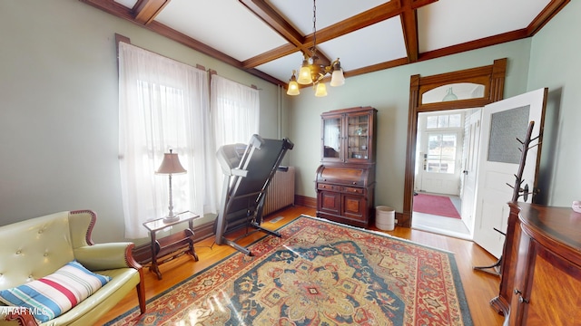 living area featuring radiator, an inviting chandelier, coffered ceiling, beam ceiling, and light hardwood / wood-style floors