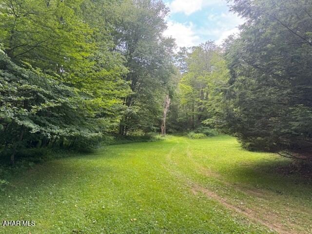 000 Puritan Rd, Portage, PA 15946 - photo 1