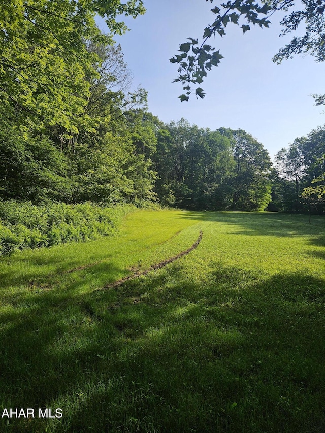 000 Puritan Rd, Portage, PA 15946 - photo 10