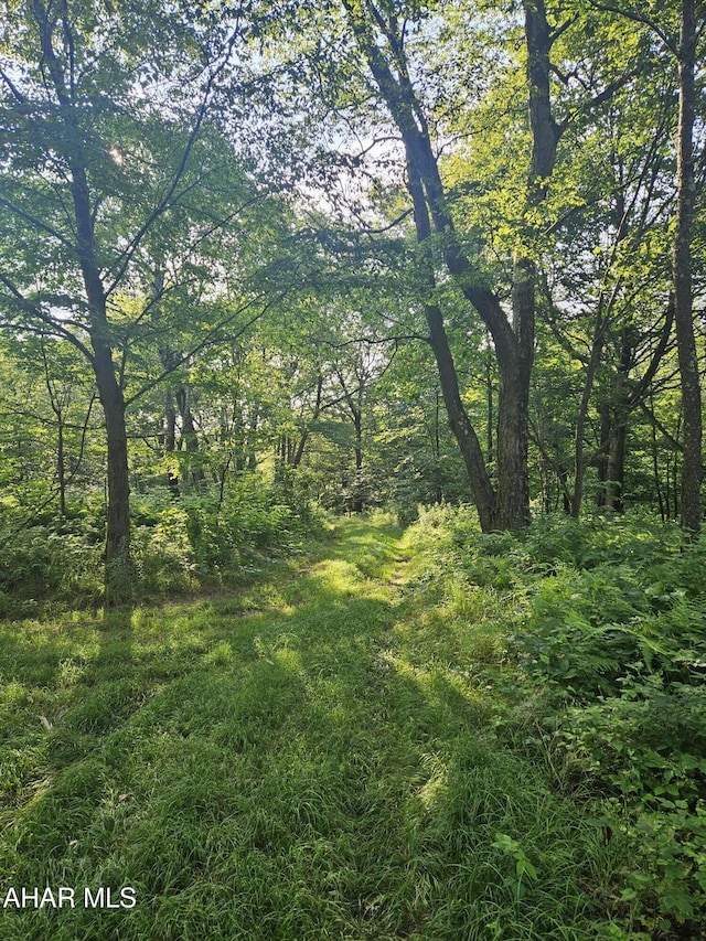 000 Puritan Rd, Portage, PA 15946 - photo 6