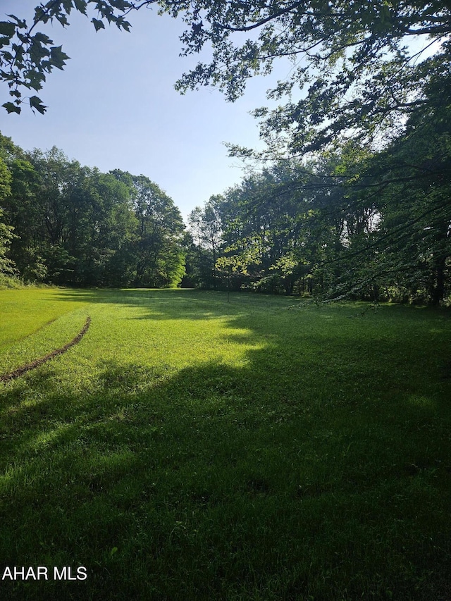 000 Puritan Rd, Portage, PA 15946 - photo 4