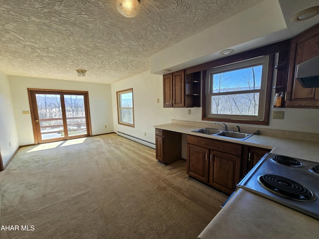 116 Scenic Knoll Dr, Hollidaysburg, PA 16648 - kitchen featuring baseboards, open shelves, a baseboard radiator, and a sink