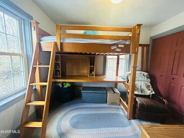 217 Good Shepherd Rd, Altoona, PA 16601 - bedroom with a closet and carpet