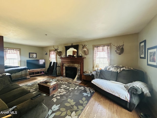 217 Good Shepherd Rd, Altoona, PA 16601 - living room with a fireplace, plenty of natural light, and wood finished floors