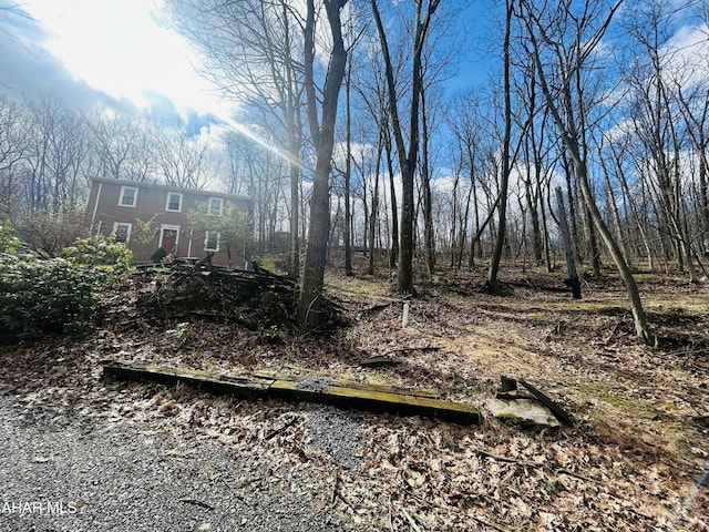 217 Good Shepherd Rd, Altoona, PA 16601 - view of yard