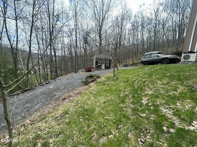 217 Good Shepherd Rd, Altoona, PA 16601 - view of yard with ac unit