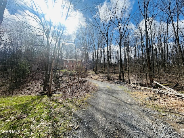 217 Good Shepherd Rd, Altoona, PA 16601 - view of street