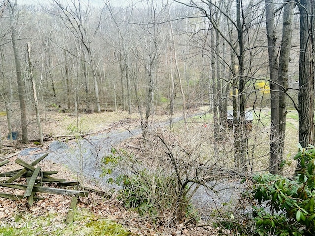 217 Good Shepherd Rd, Altoona, PA 16601 - property view of water featuring a view of trees