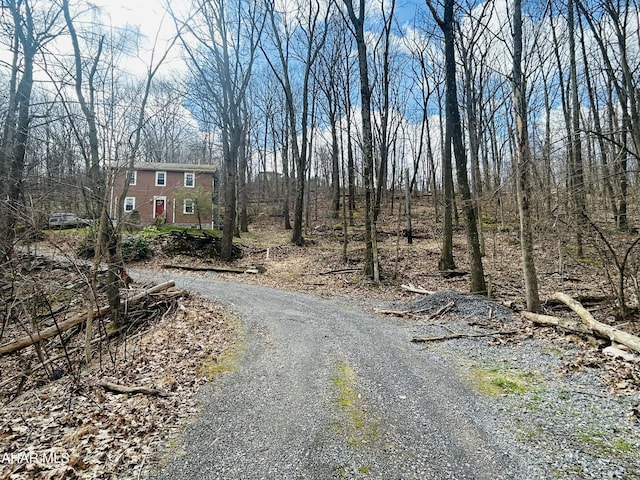 217 Good Shepherd Rd, Altoona, PA 16601 - view of street