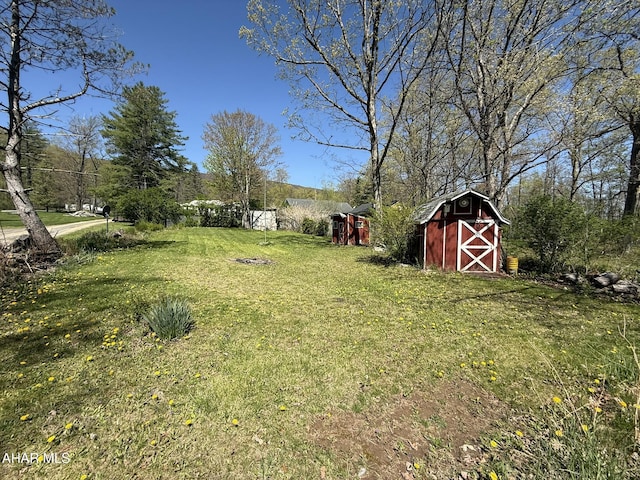 229 Celtic Ln, Altoona, PA 16601 - view of yard featuring a storage shed and an outbuilding