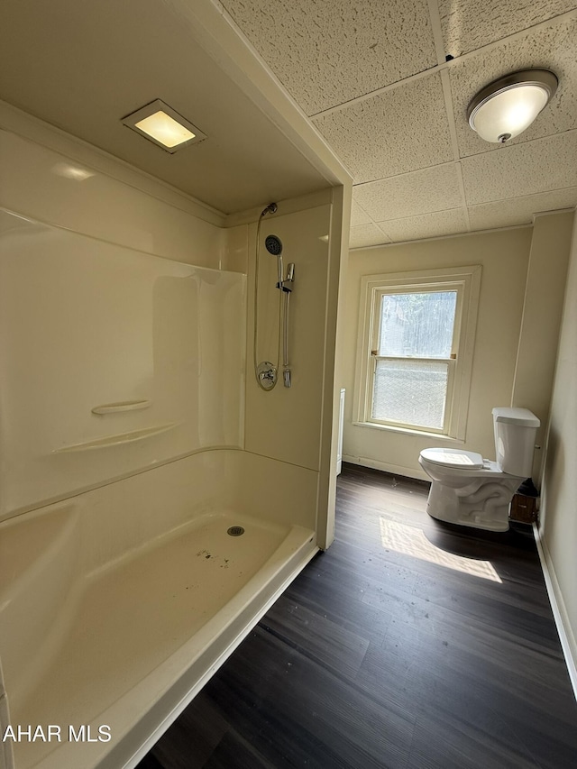 316 3rd Ave, Altoona, PA 16602 - bathroom with wood finished floors, a paneled ceiling, and a shower