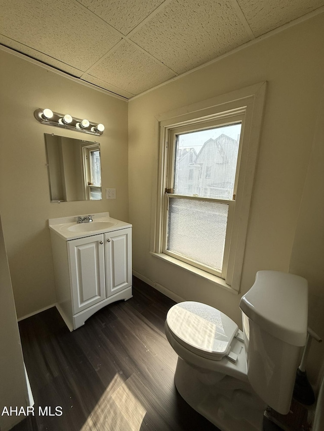 316 3rd Ave, Altoona, PA 16602 - bathroom with vanity, a paneled ceiling, and wood finished floors